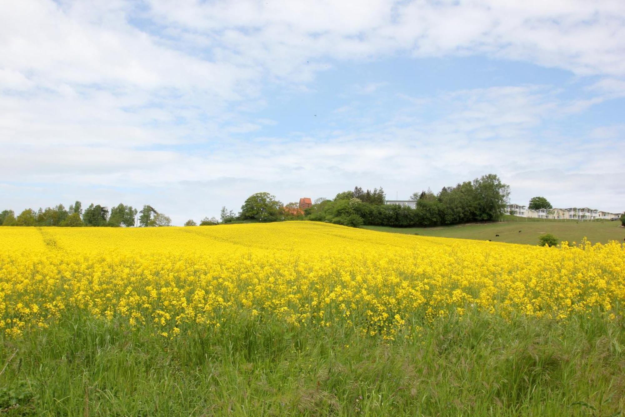 Mit Meerblick Und Balkon, Gratis Nutzung Vom Ahoi Erlebnisbad Und Sauna In Sellin - Meeresblick Fewo 33 Goehren  Buitenkant foto
